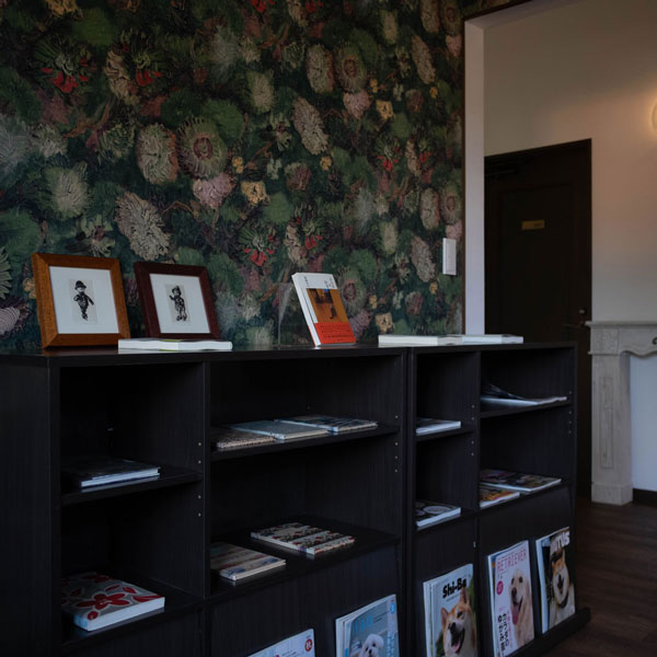 伊豆高原 ペットと過ごせるプチホテル Il Tramonto（イル トラモント）